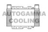 AUTOGAMMA 105741 Intercooler, charger